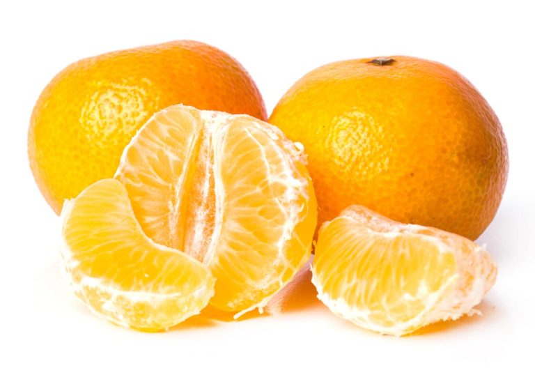 Naranjas-fondo-blanco-Frutas Minguet Mayoristas de frutas. Sandías, aguacates, melones, clementinas