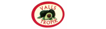 Valls-tropik-logo-Frutas Minguet Mayoristas de frutas. Sandías, aguacates, melones, clementinas